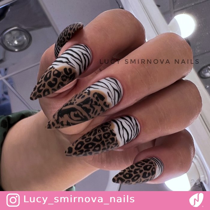 Zoo Patterns Combo